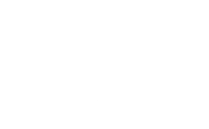 Make Bulk Transactions